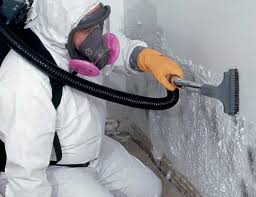 Best Water Damage & Mold Remediation  in Citrus Hills, FL